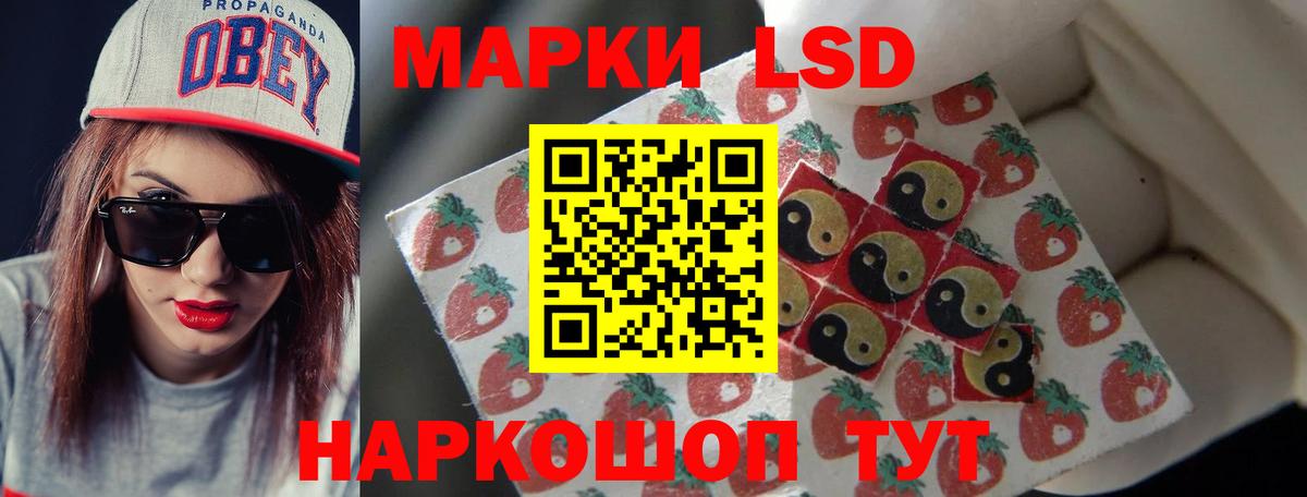 ЭКСТАЗИ Домодедово